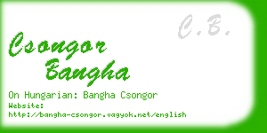 csongor bangha business card